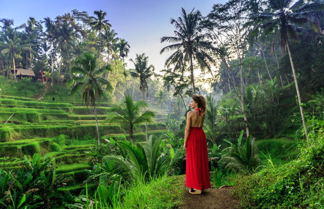 Noleggio auto con conducente a Bali - Foto 5