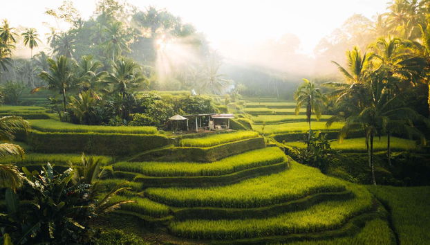 Visite privée aux lacs et temples de Bedugul et de Tanah Lot - Photo 3