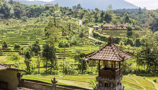 Visite privée aux lacs et temples de Bedugul et de Tanah Lot - Photo 4