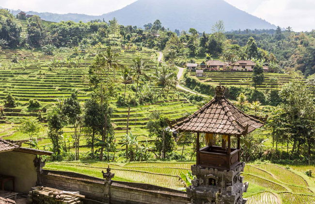 Bedugul and Tanah Lot Private Tour - Photo 4