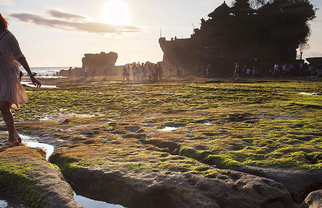 Visite privée aux lacs et temples de Bedugul et de Tanah Lot - Photo 1