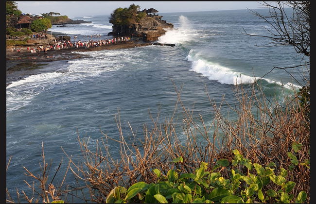 Visite privée aux lacs et temples de Bedugul et de Tanah Lot - Photo 7