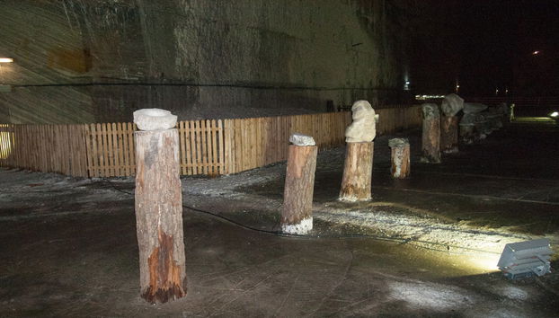 Excursión a las Minas de Sal de Slanic, Prahova - Foto 5