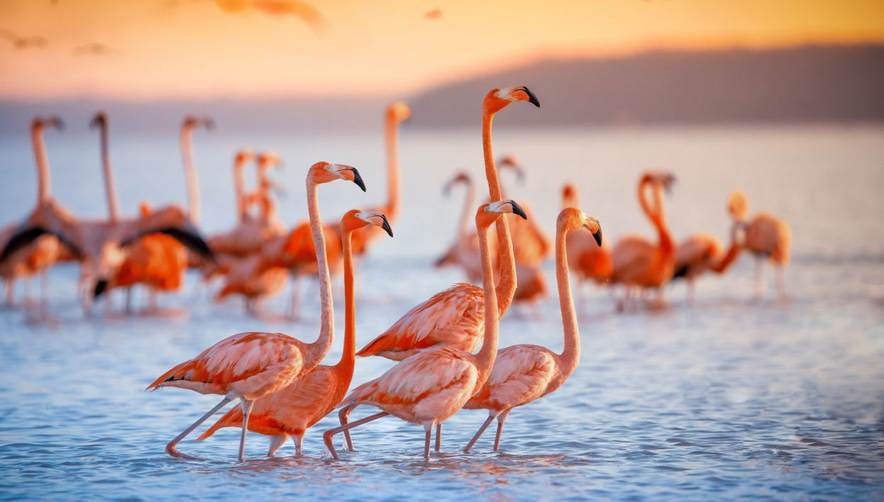 Passeio de barco ao entardecer - Foto 1