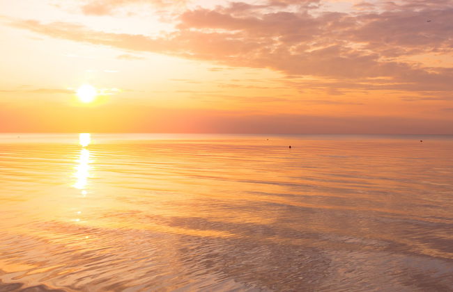 Paseo en barco al atardecer - Foto 6