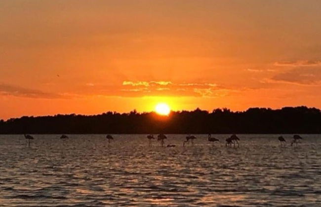 Paseo en barco al atardecer - Foto 4