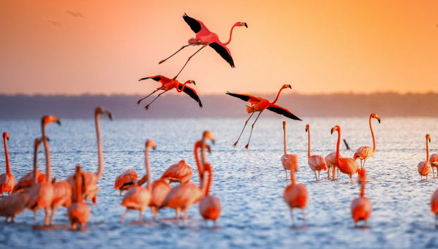 Passeio de barco ao entardecer - Foto 3