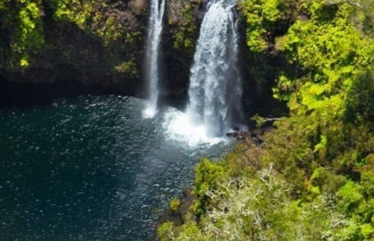 Hawaii Volcanoes National Park Tour - Photo 8