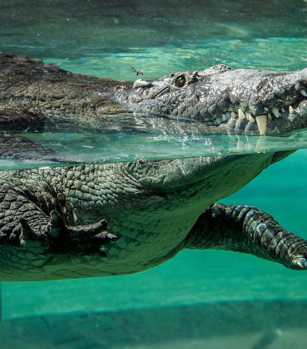Foto de Entrada al Zoo de Miami