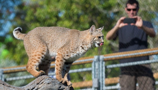 Entrance Ticket to Zoo Miami - Photo 3