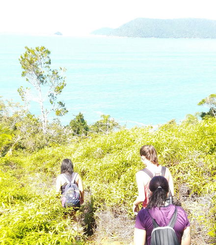 Foto de Senderismo por las playas de Ubatuba