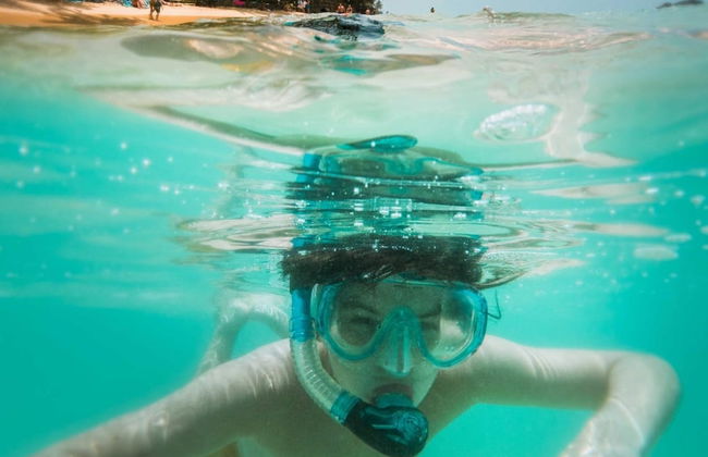 Snorkel en Ubatuba - Foto 2