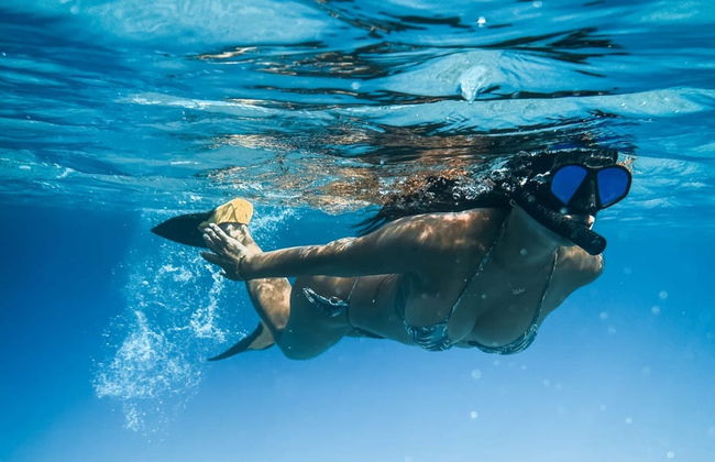 Snorkel en Ubatuba - Foto 3