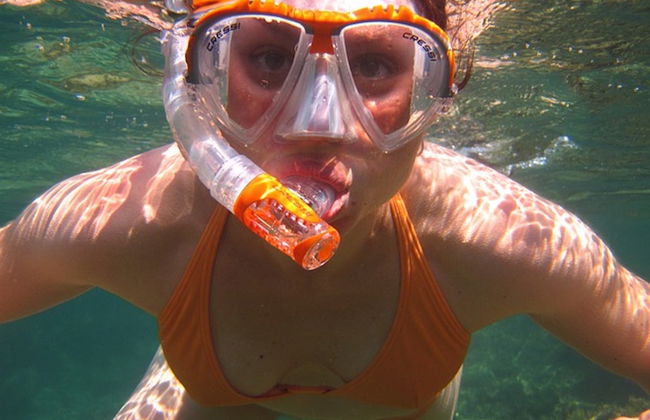 Snorkel en Ubatuba - Foto 1