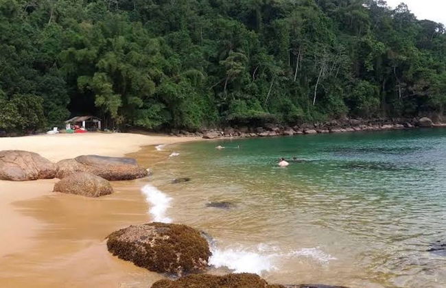 Snorkel en Ubatuba - Foto 4