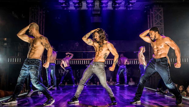 Magic Mike Live Ticket - Photo 2