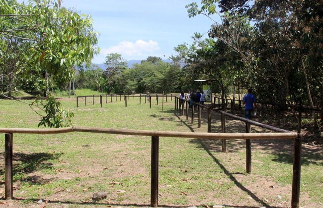 Excursión al Sitio Arqueológico Finca 6 - Foto 7