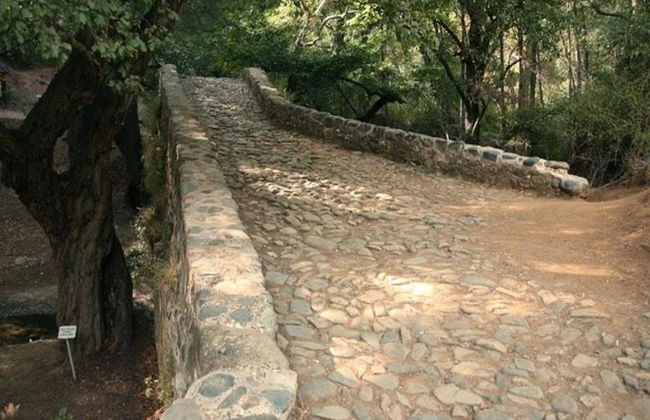 Montagnes de Troodos - Excursion au départ de Paphos - Photo 9