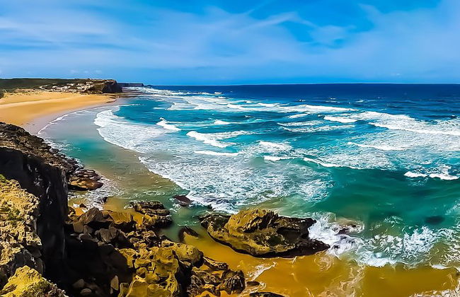 Excursão de dia inteiro selvagem e maravilhosa na Costa Oeste - Foto 18