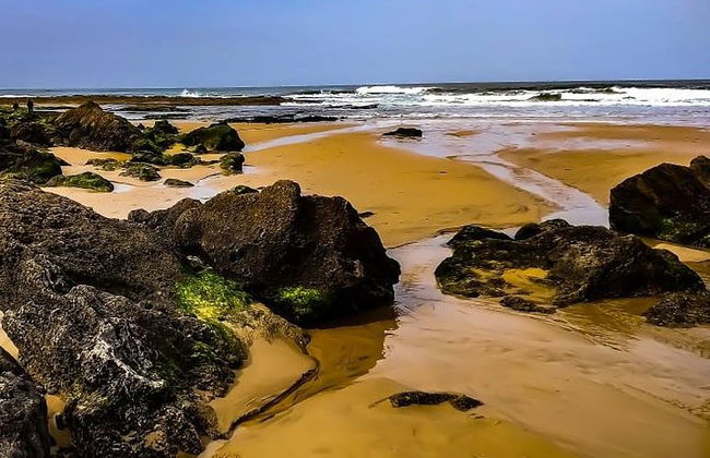 Excursão de dia inteiro selvagem e maravilhosa na Costa Oeste - Foto 7
