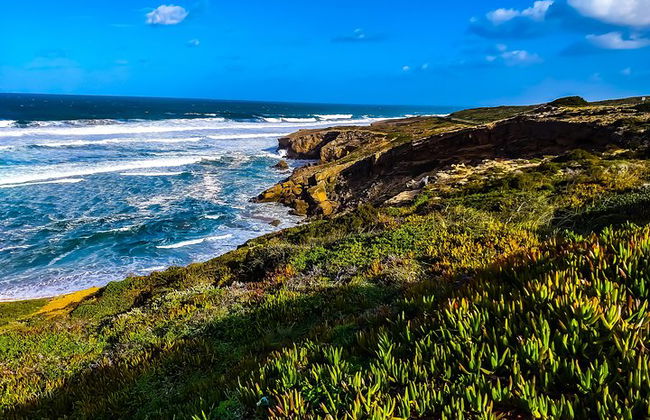 Excursão de dia inteiro selvagem e maravilhosa na Costa Oeste - Foto 8