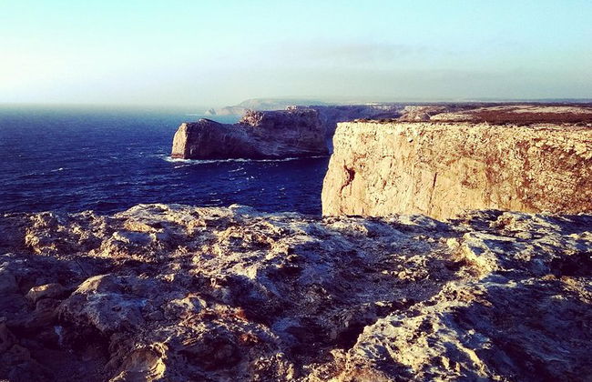 Excursão de dia inteiro selvagem e maravilhosa na Costa Oeste - Foto 5
