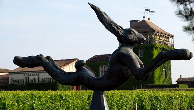 Tour privado a Pessac Léognan e Graves - Foto 4