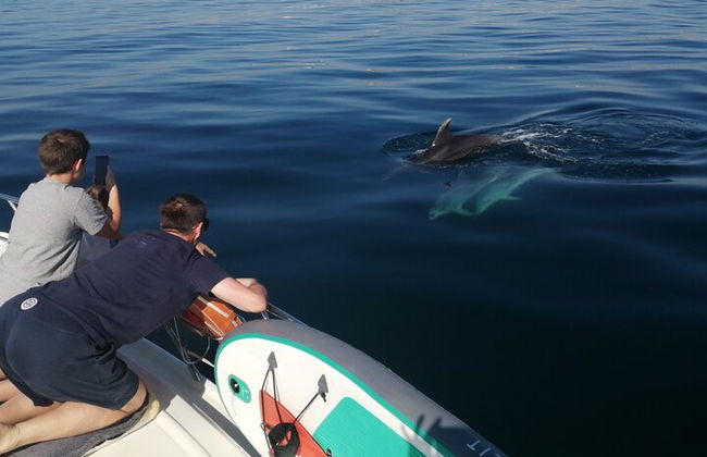 Tour serale con champagne a ponta da piedade con bevande e tapas - Foto 8