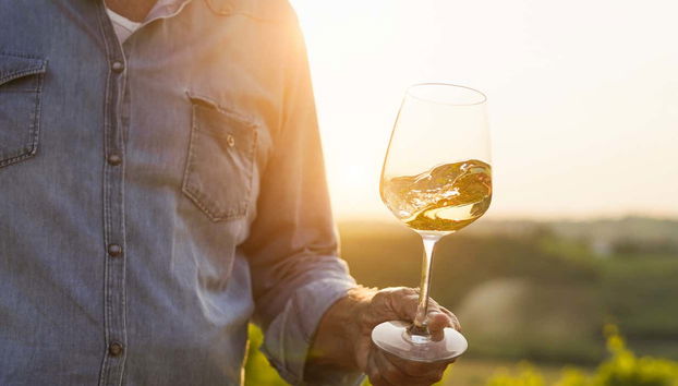 Winery Tour in Paestum - Foto 5