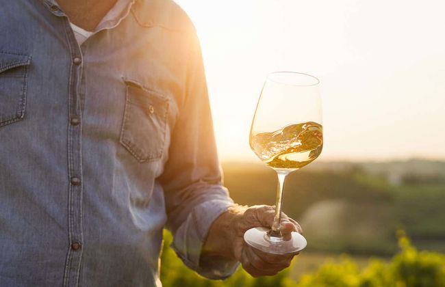 Winery Tour in Paestum - Foto 5