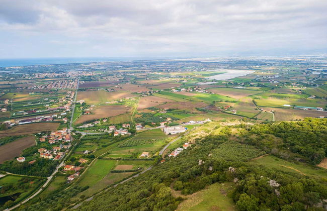 Winery Tour in Paestum - Foto 1