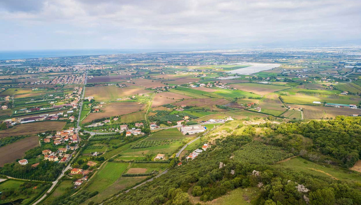 Winery Tour in Paestum - Foto 1