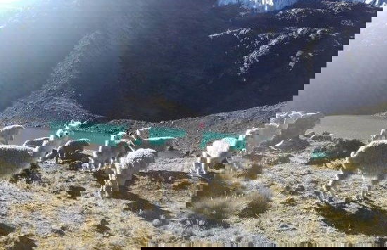 Trilha pelo pico nevado de Huaytapallana - Foto 7