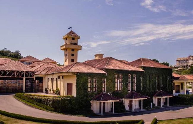 Gran Reserva und Vale dos Vinhedos - Ganztägige Tour - Foto 1