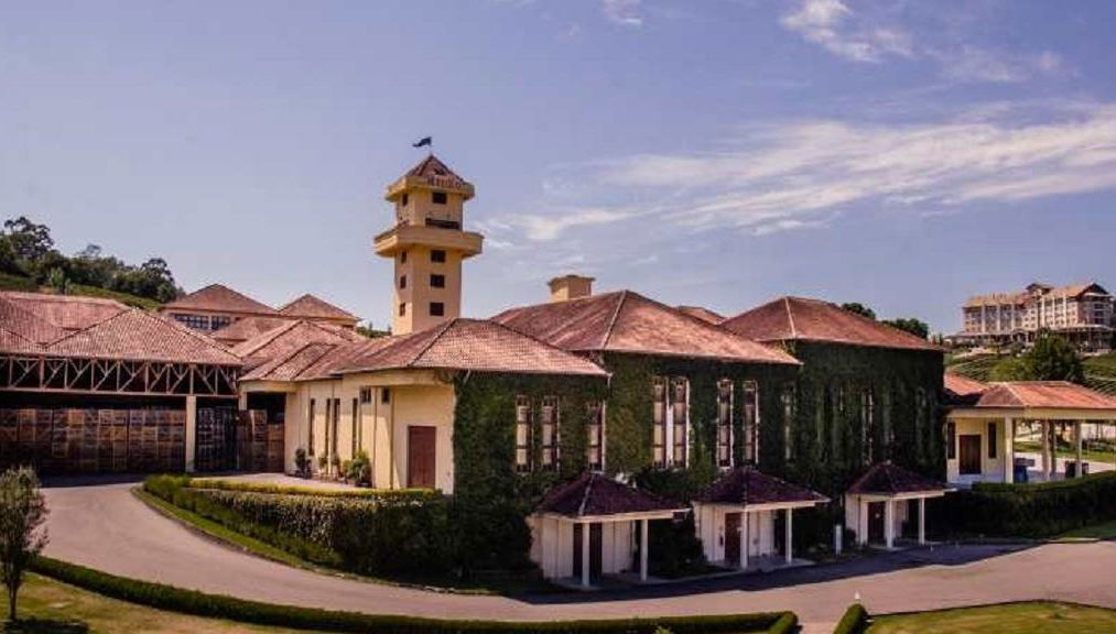 Gran Reserva und Vale dos Vinhedos - Ganztägige Tour - Foto 1