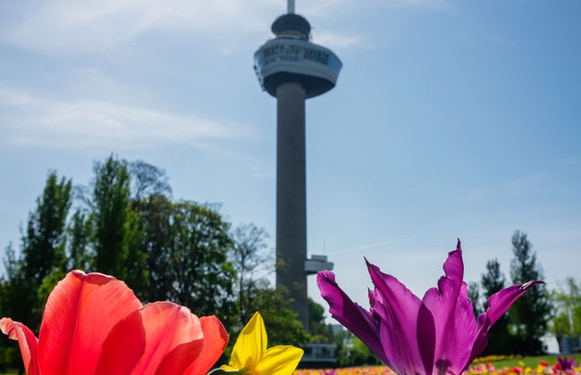 Biglietti per la torre Euromast - Foto 6