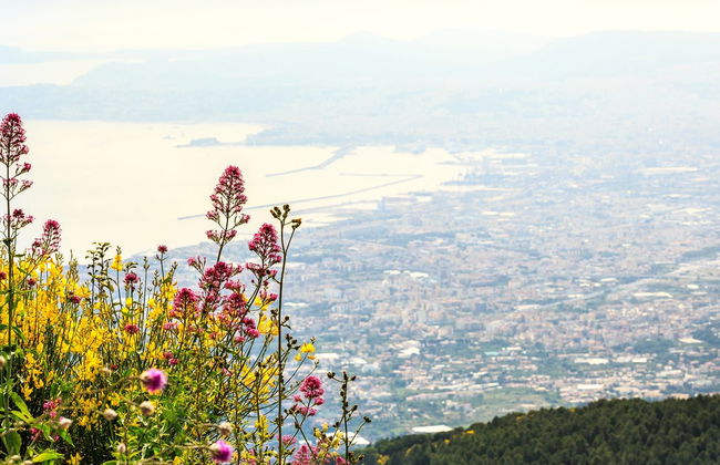 Pompeii, Herculaneum + Vesuvius Tour - Foto 7