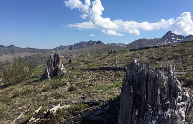 Excursión al Monte Santa Helena - Foto 3