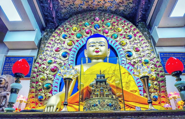 Tour de la cultura budista por Dharamshala - Foto 6
