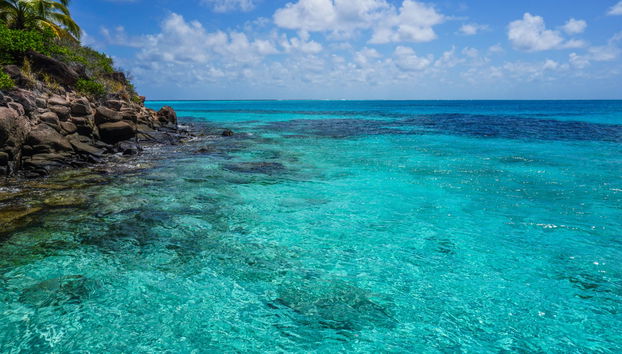 Providencia Snorkelling Tour - Photo 5