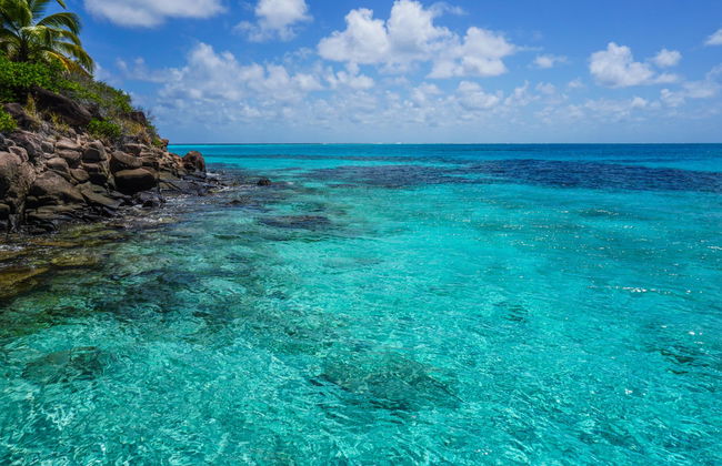 Snorkel em Providencia - Foto 5