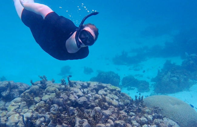 Snorkel en Providencia - Foto 4
