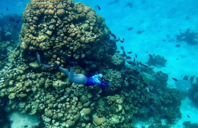 Snorkel en Providencia - Foto 3
