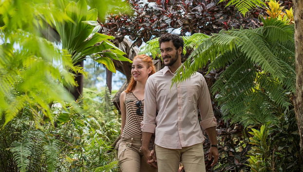 Day Trip to Sierra Cristal Mountain - Foto 2