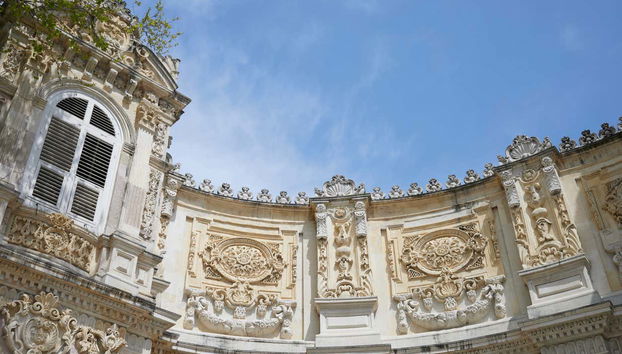 Dolmabahçe Palace Guided Tour - Foto 3