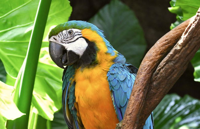 Billet pour le zoo de Central Park - Photo 7