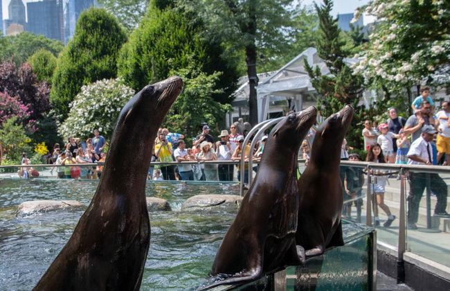Billet pour le zoo de Central Park - Photo 2