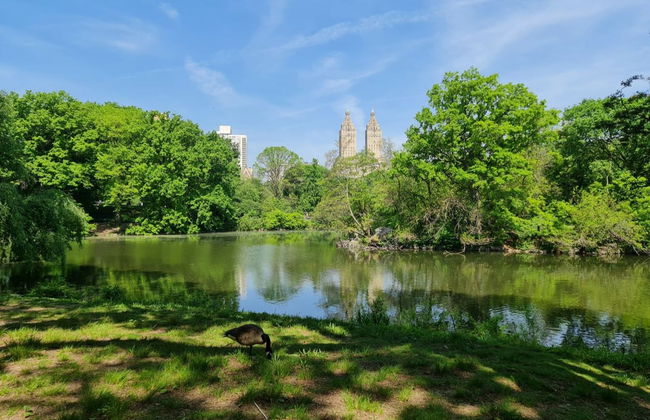 Billet pour le zoo de Central Park - Photo 5