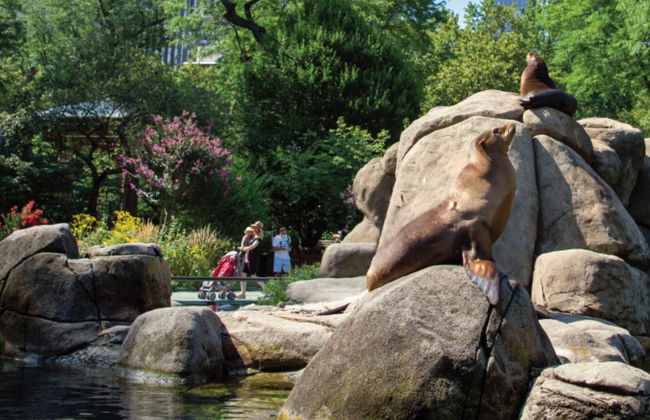 Billet pour le zoo de Central Park - Photo 8