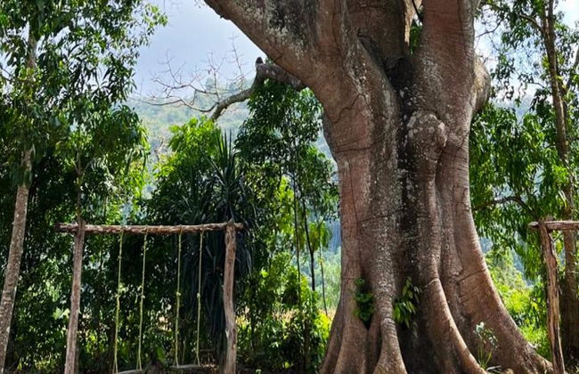 Descubra as cachoeiras de Copalitilla - Tour privado de dia inteiro - Foto 5